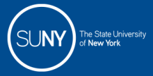 logo suny blue